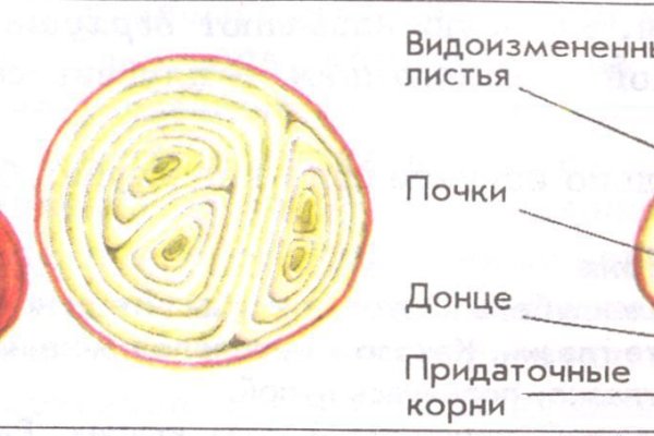 Кракен маркетплейс товары