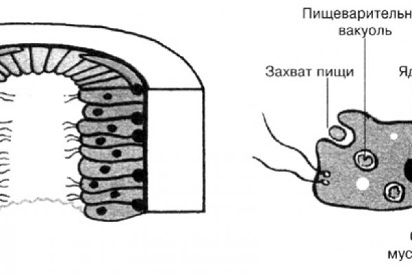 Как восстановить аккаунт на кракене даркнет